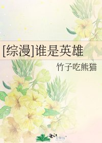 [綜漫]誰是英雄